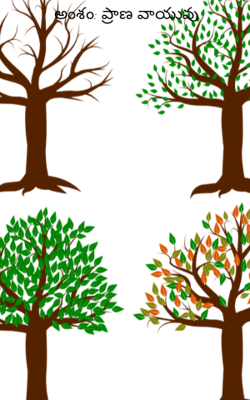 అంశం: ప్రాణ వాయువు