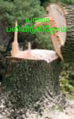 யாரை பலியிடுகிறோம்?