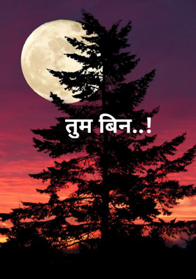 तुम बिन..!