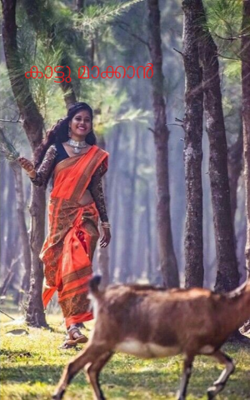 കാട്ടു മാക്കാൻ