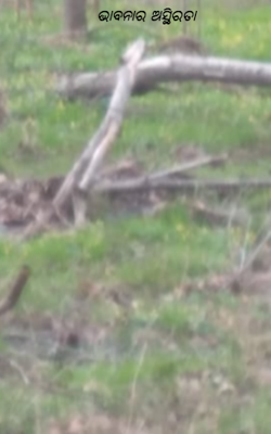 ଭାବନାର ଅସ୍ଥିରତା