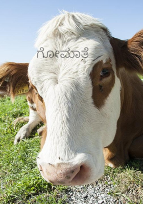 ಗೋಮಾತೆ