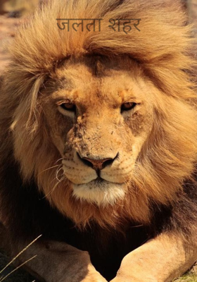 जलता शहर