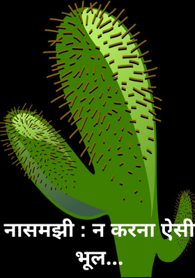 नासमझी : न करना ऐसी भूल...