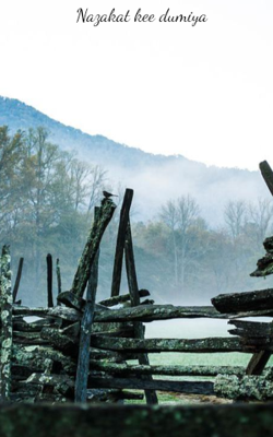 नज़ाकत की दुनिया