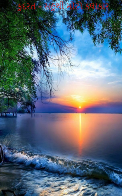 કુદરત – સહુથી મોટો કલાકાર