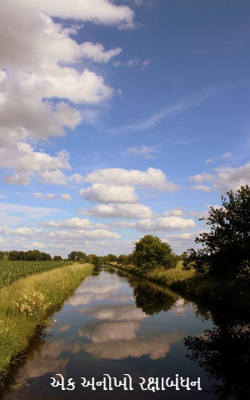 એક અનોખો રક્ષાબંધન