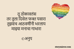 तू डोकावलंस 
तर तुला दिसेल फक्त पसारा 
तुझ्याच आठवणींनी भरलाय 
माझ्या मनाचा गाभारा 

©️अनुप 