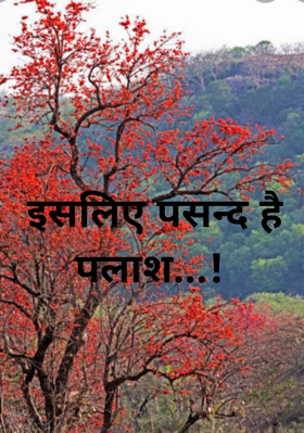 इसलिए पसन्द है पलाश...!