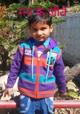 मन के जीते