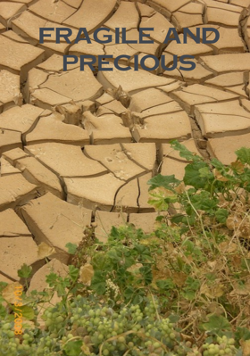FRAGILE AND PRECIOUS