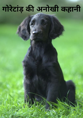 गोरेटांड़ की अनोखी कहानी