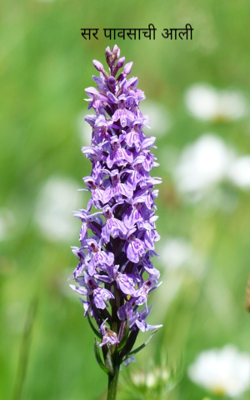 सर पावसाची आली