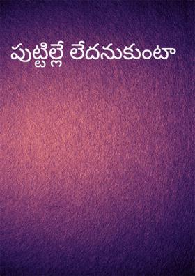 పుట్టిల్లేె లేదనుకుంటా