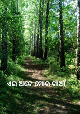 ଏଇ ଅଟେ ମୋର ଗାଆଁ
