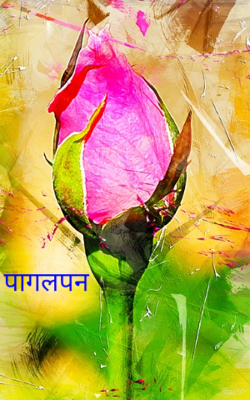 पागलपन 