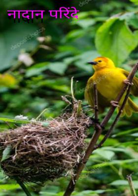 नादान परिंदे