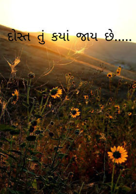 દોસ્ત તું કયાં જાય છે