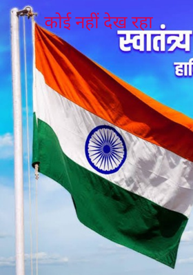 कोई नहीं देख रहा