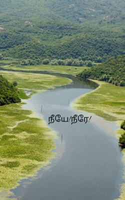 நீயே!நீரே!