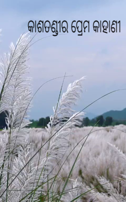 କାଶତଣ୍ଡୀର ପ୍ରେମ କାହାଣୀ