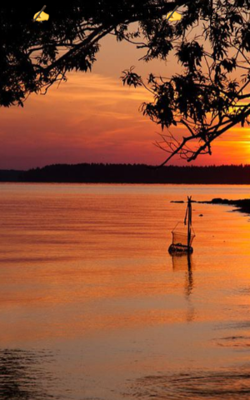 मत करो खिलवाड़ -( 25 )