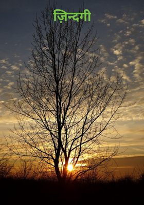 ज़िन्दगी