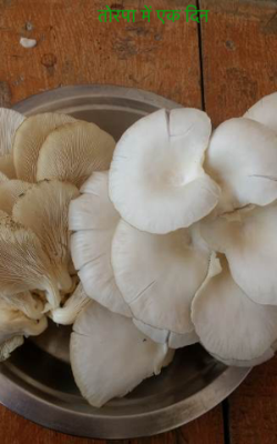 तोरपा में एक दिन