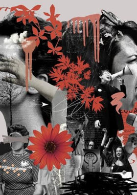 Anti - Feminists In A Nutshell