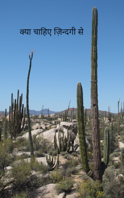 क्या चाहिए ज़िन्दगी से