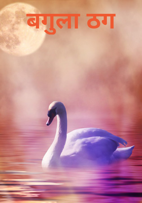 बगुला ठग