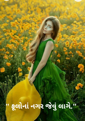 ફૂલોનાં નગર જેવું લાગે