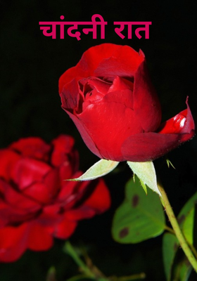 चांदनी रात 