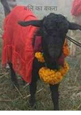 बलि का बकरा