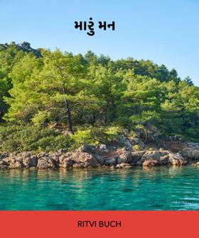 મારું મન 