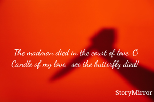 The madman died in the court of love. O Candle of my love,  see the butterfly died! 