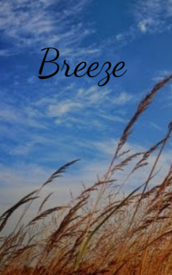 Breeze