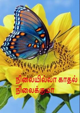 நிலையில்லா காதல் நிலைக்குமா