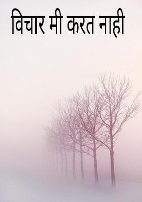 विचार मी करत नाही
