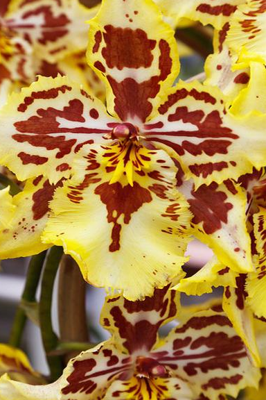 ସମୁଦ୍ରରେ ଅଦଭୁତଦୃଶ୍ୟ