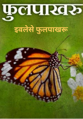 इवलेसे फुलपाखरू