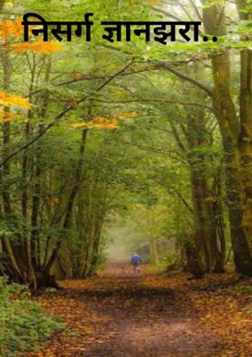 निसर्ग ज्ञानझरा