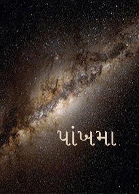 પાંખમાં..