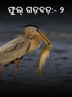 ଫୁଲ୍ ଗଡ଼ବଡ଼:- ୨