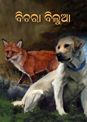 ବିଚରା ବିଲୁଆ