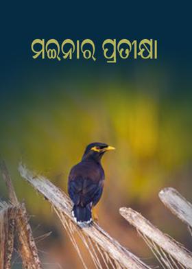 ମଇନାର ପ୍ରତୀକ୍ଷା