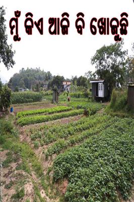 ମୁଁ କିଏ ଆଜି ବି ଖୋଜୁଛି