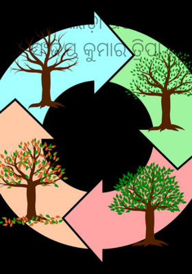 ଅଲୋଡ଼ା ଅତିଥି