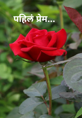 पहिलं प्रेम...