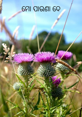 ମୋ ପାଉଣା ଦେ